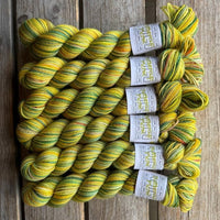 koigu - kpppm - limited edition colourways