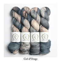 la bien aimée - super sock - 100gm