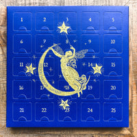 firefly notes advent calendar 2023 - sale
