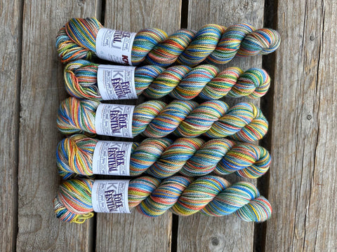 Koigu - KPPPM - Limited Edition Colourways