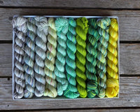 koigu - pencil box - fingering
