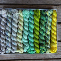 Koigu - Pencil Box - Fingering