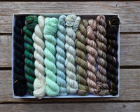 koigu - pencil box - fingering
