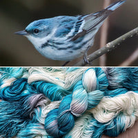 songbird sock
