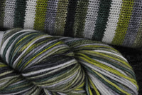 timber yarns - dk self striping
