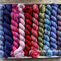 Koigu - Pencil Box - Fingering