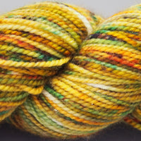 Koigu - KPPPM - Variegated & Multi-coloured