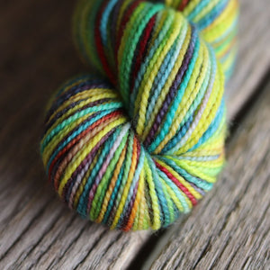 Koigu - KPPPM - Variegated & Multi-coloured